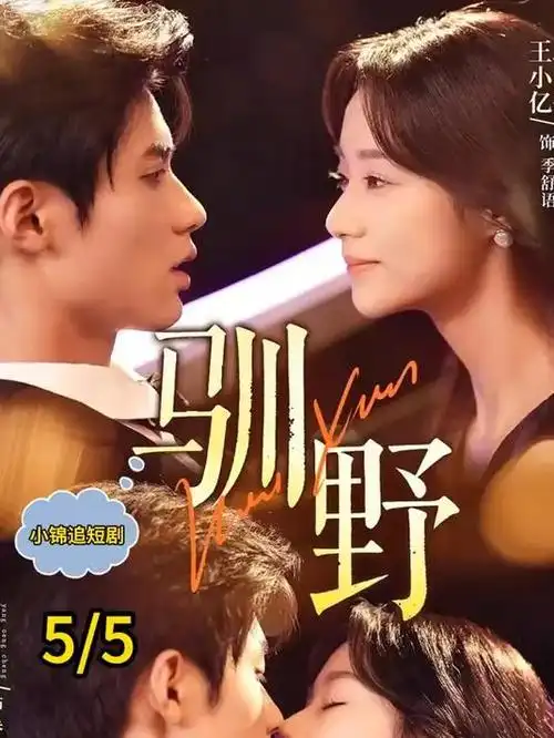 长夜将明电视剧全集免费在线观看
